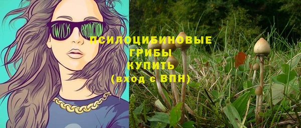 мяу мяу кристалл Арсеньев