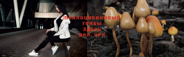 соль курить ск Армянск