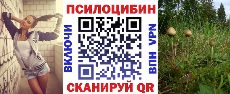 Псилоцибиновые грибы Psilocybine cubensis  продажа наркотиков  Байкальск 